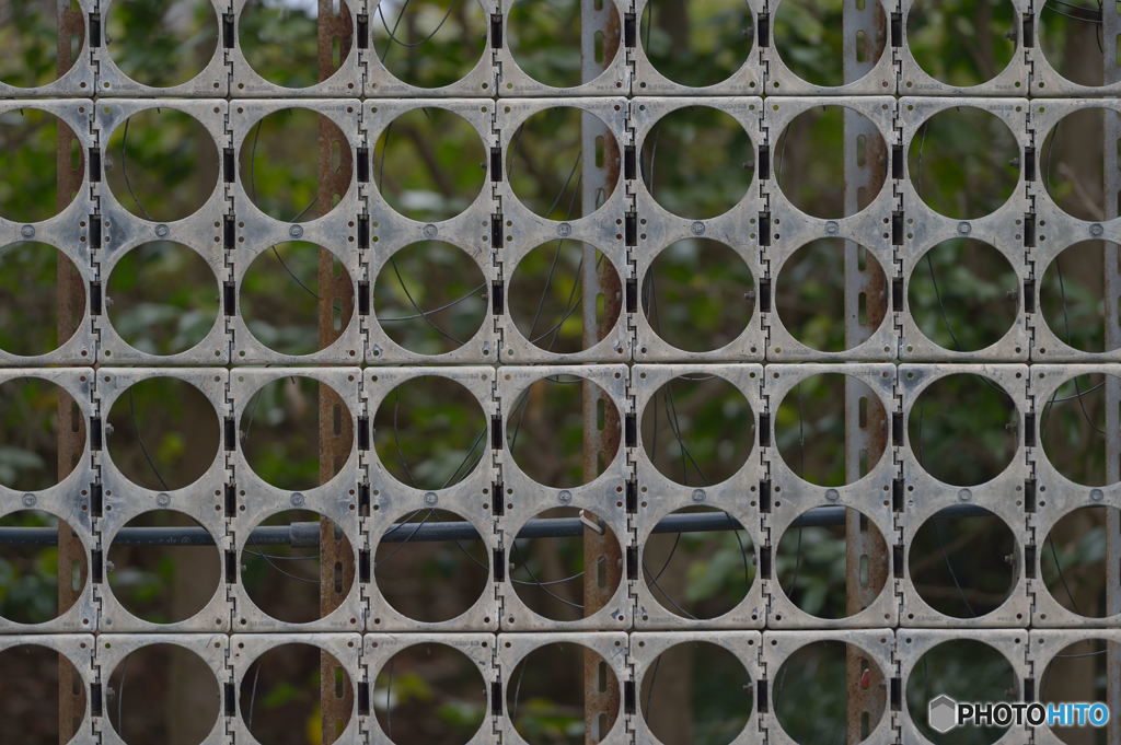 素葉　紙置んで