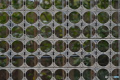 素葉　紙置んで