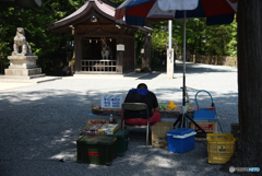 夏の孤独