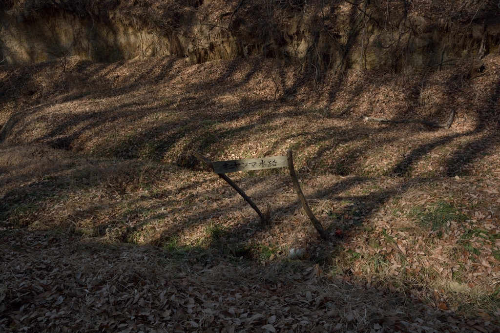 オニヤンマ水路