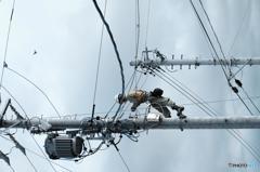 離れ業　by　中部電力