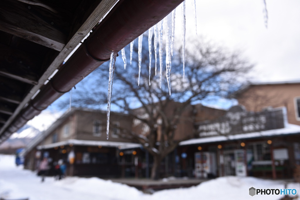 冬の軒下
