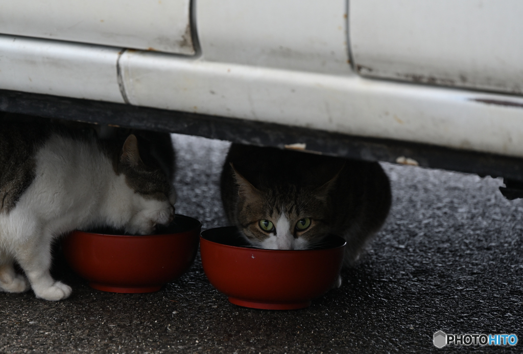 雨の昼食