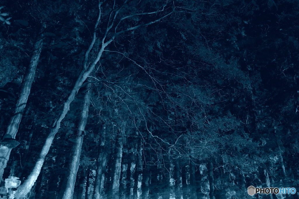 Deep　Blue
