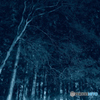 Deep　Blue
