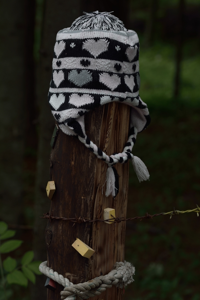 初夏のニット帽