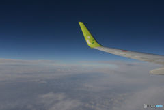 翼（WING）