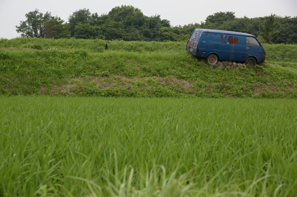 青いバン