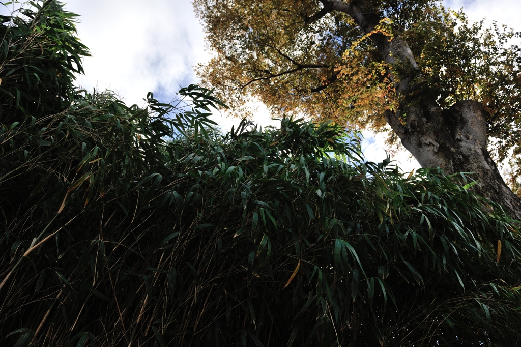 近づく寒冷前線