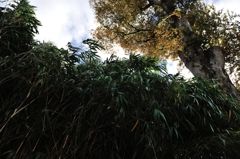 近づく寒冷前線