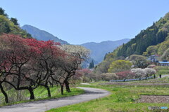 桃源郷「余里」