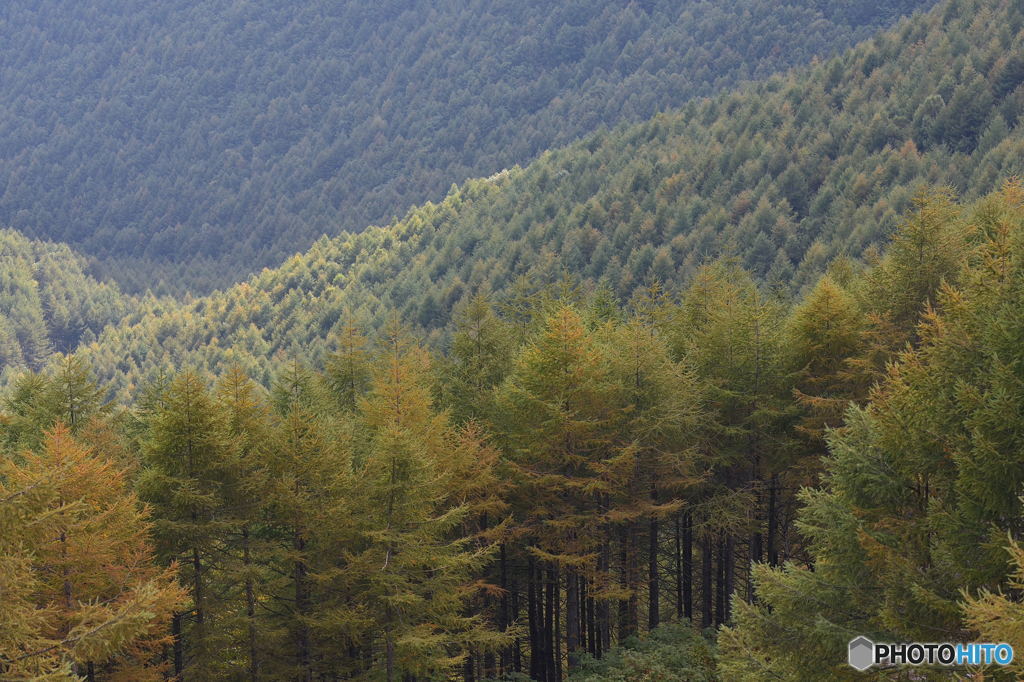 標高2,000ｍ