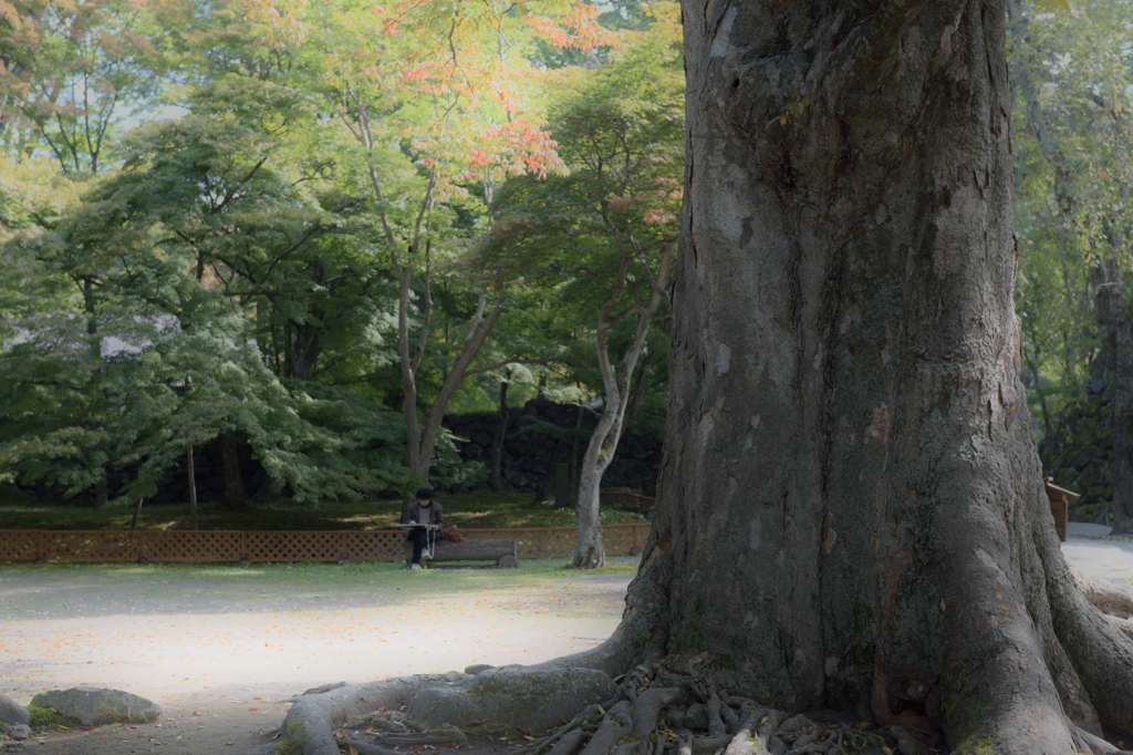 画伯