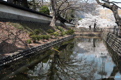 あれから僕は　　 何かを信じてこれたかな・・・
