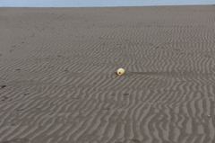 浜辺にて