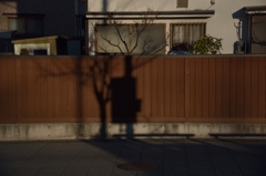 塀の午後