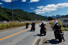 コスモス街道　東へ