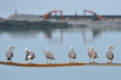Japan　Sea