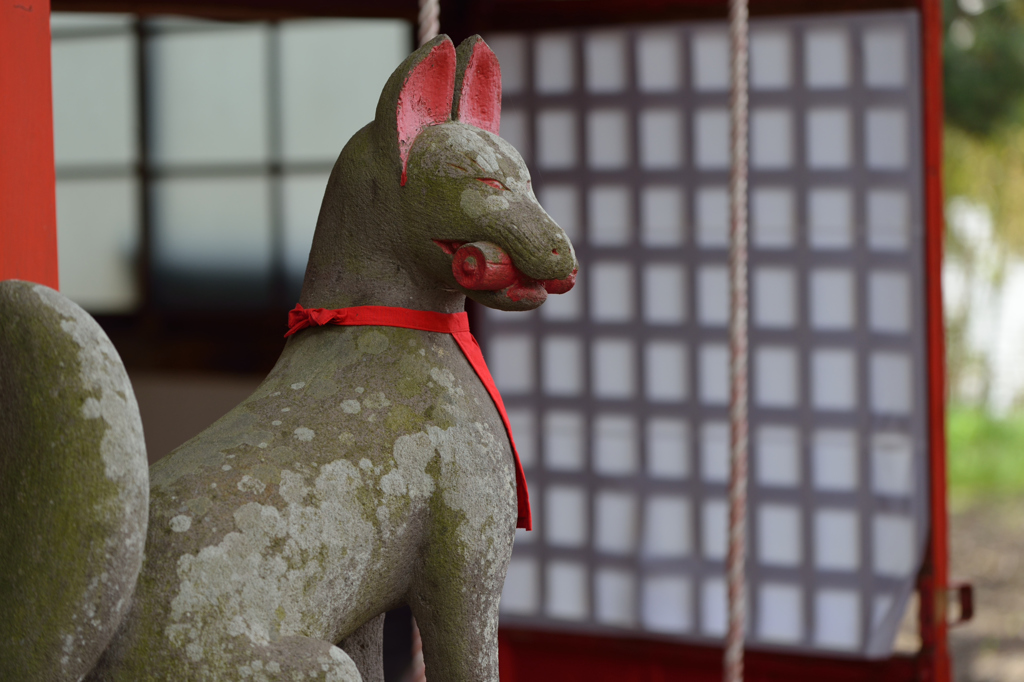 Stonefox with a Scroll and red apron