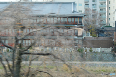 彼岸