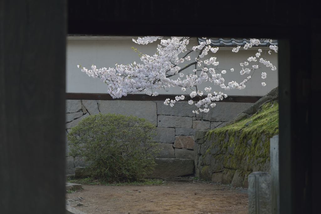 門前