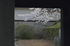 門前