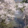 爛漫
