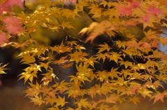 懐古園　10