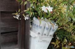 新聞受