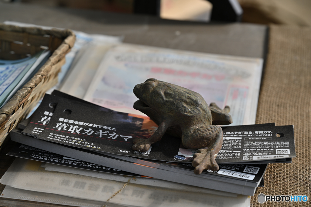 カエル
