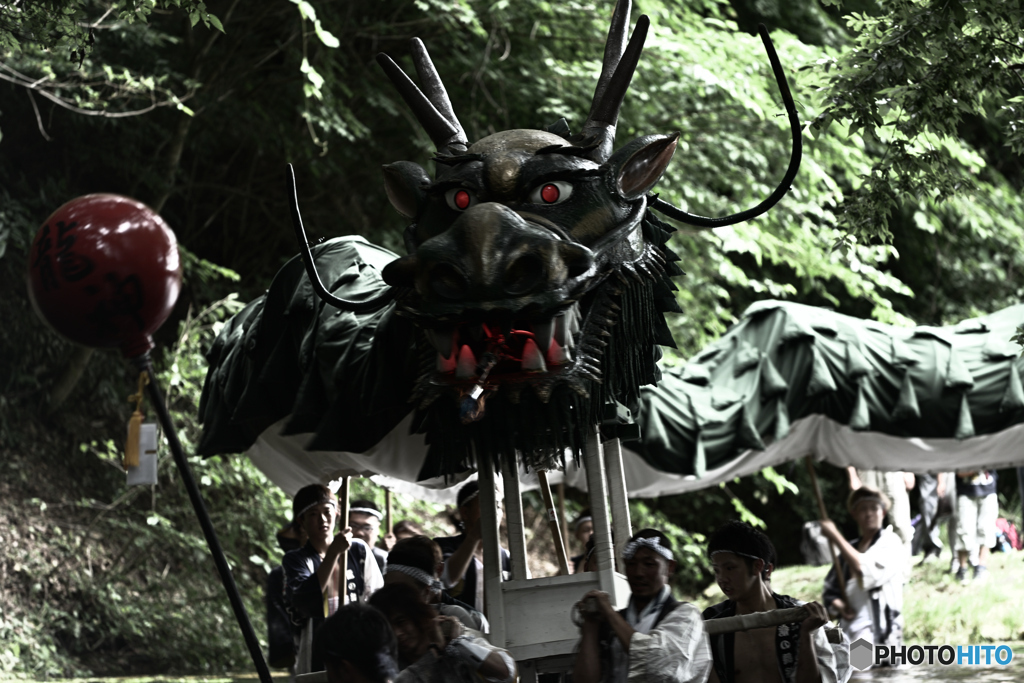 DRAGON