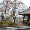 真言宗　智山派　雫田山　竹仙院　福王密寺