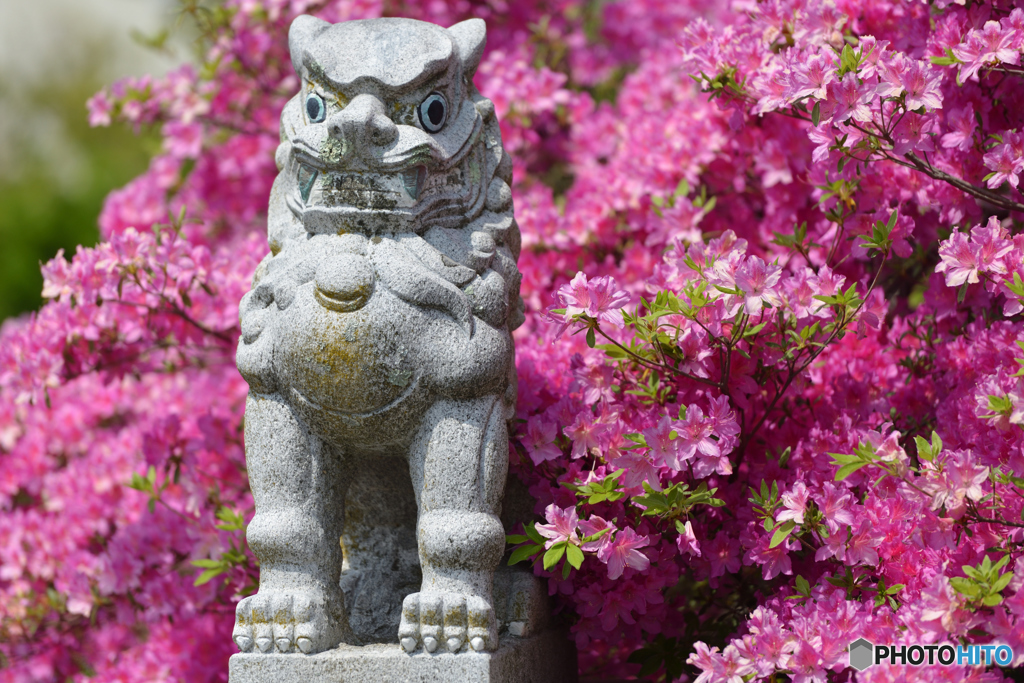 stone　＆　flower