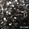 WATERDUST