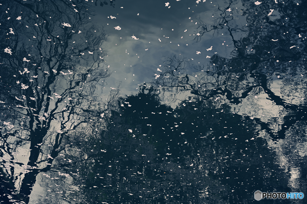 Indigo