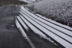 昨日の雪