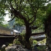 B地点