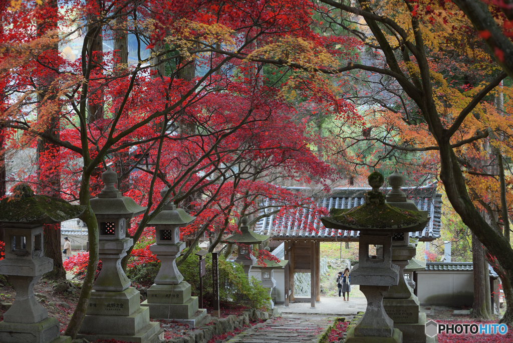 清水寺　極彩