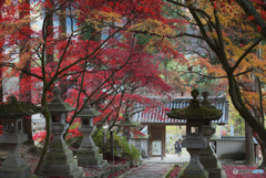 清水寺　極彩