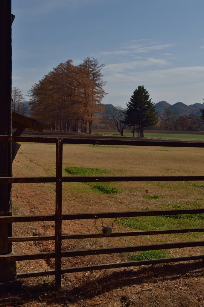 不連続（むこう）