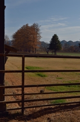 不連続（むこう）