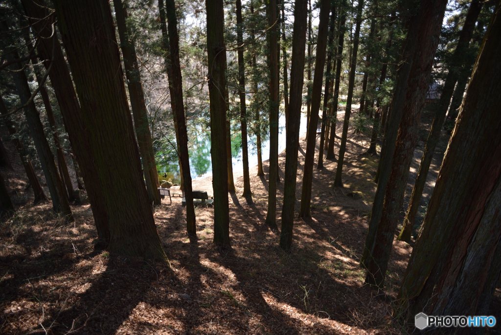 池の端