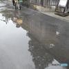 雨上がり