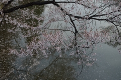 濠