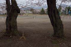 学校