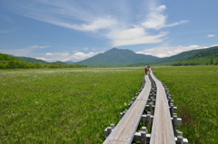 遥かな道