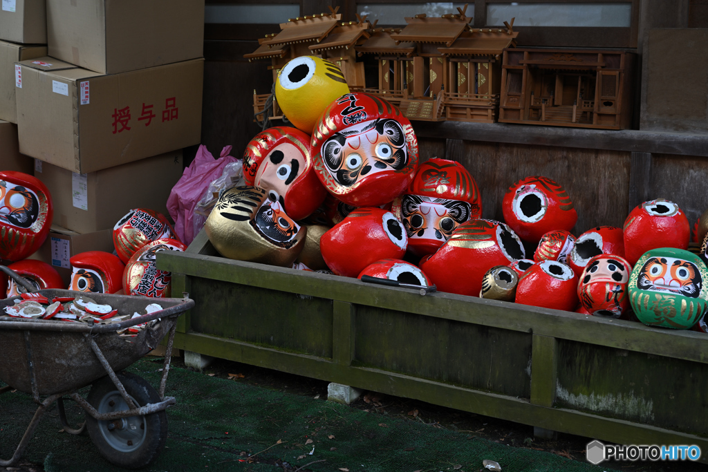 赤主体