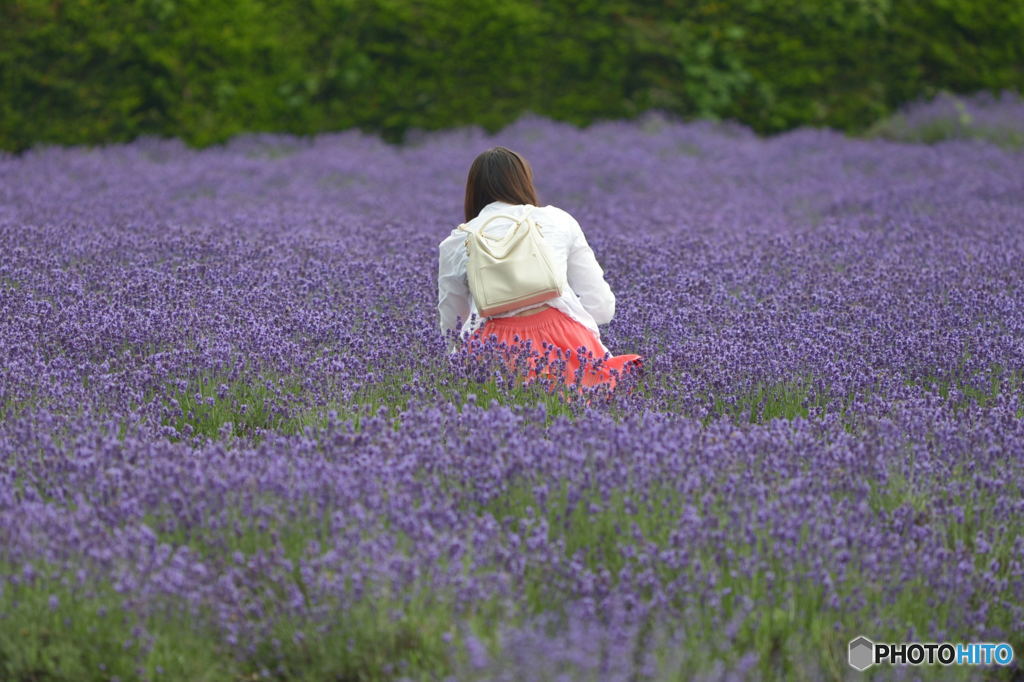 お花摘み