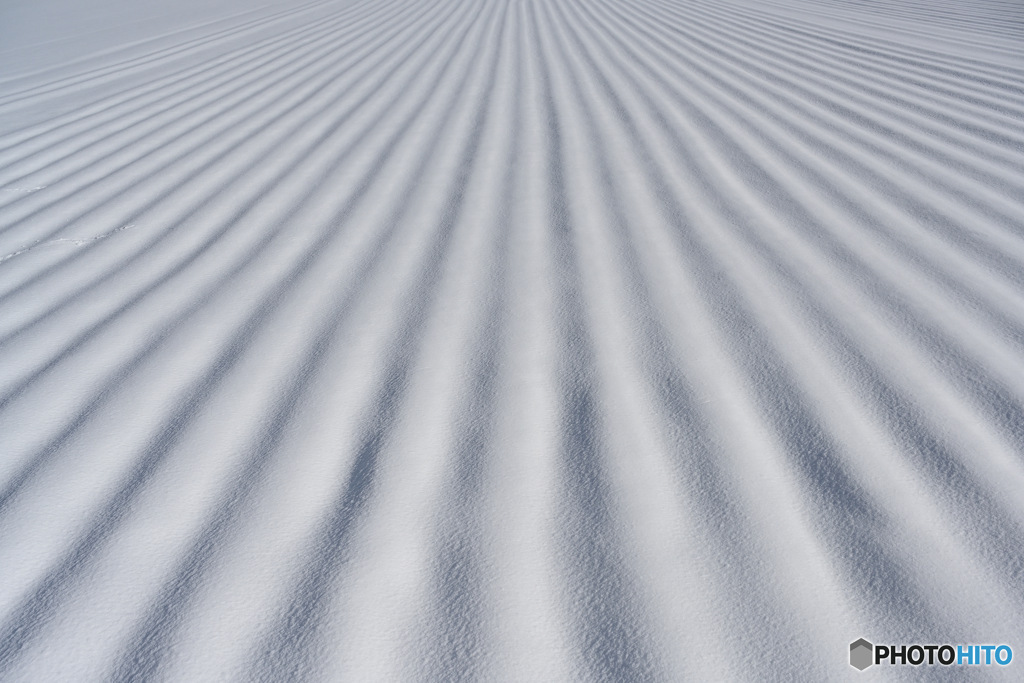 White　Cover