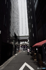 歌舞く街